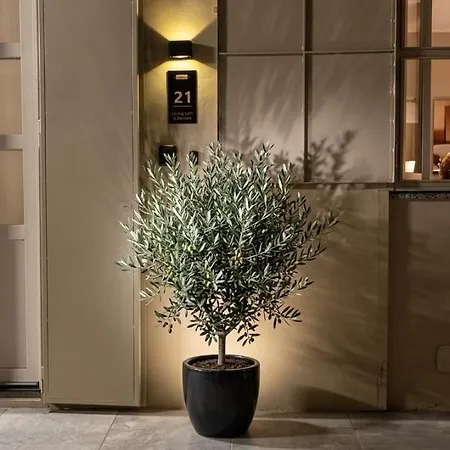 Living Loft San Donato Porta Susa Apartman Torino